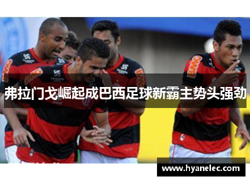 弗拉门戈崛起成巴西足球新霸主势头强劲