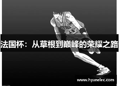 法国杯：从草根到巅峰的荣耀之路